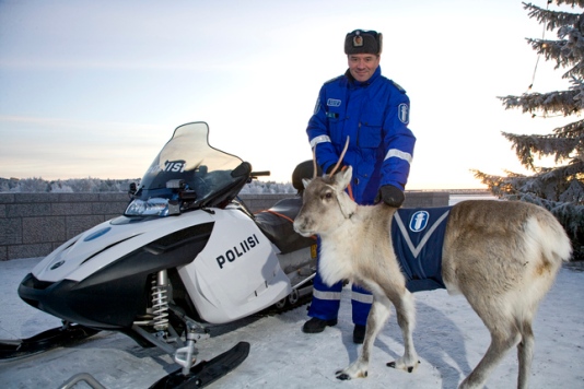 Reindeer Police
